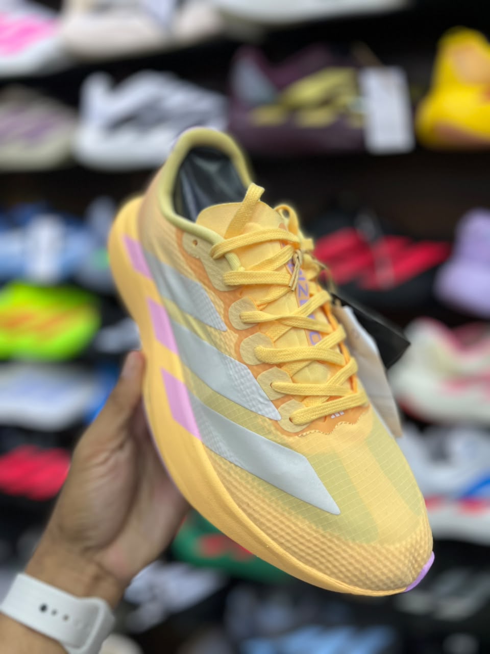 Adidas Evo SL - Amarillo - Gris/Lila