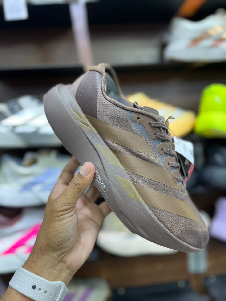 Adidas Evo SL - Marrón